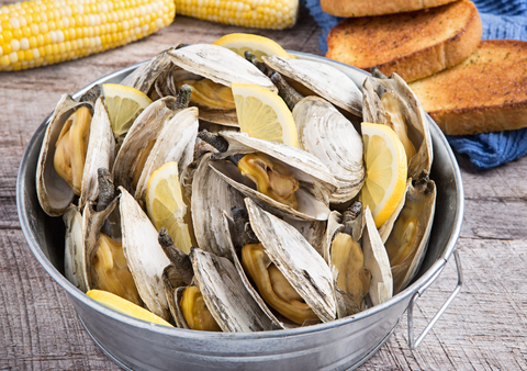 clams_dreamstime_xs_51045479